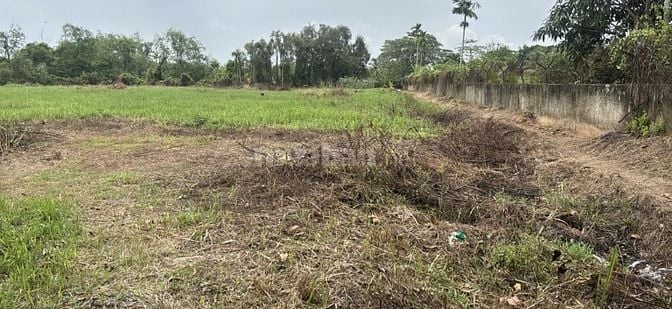 CHÍNH CHỦ GỬI BÁN LÔ ĐẤT LỚN HIẾM CÓ TẠI LONG PHƯỚC - THỦ ĐỨC (QUẬN 