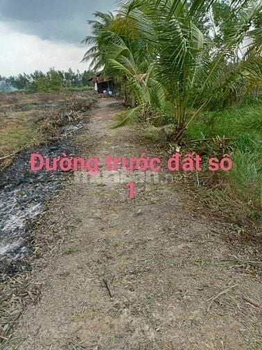 Chính chủ gửi, Bán gấp đất vườn Thạnh Hoà, Bến Lức, Long An