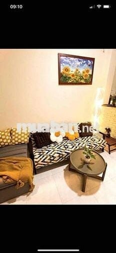 Cho thuê nhà nguyên căn Đường Hoàng Hoa Thám P5 Quận PN