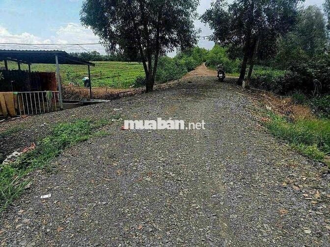 1000m Đất Vườn Đường 10m View Kênh Chỉ 650tr