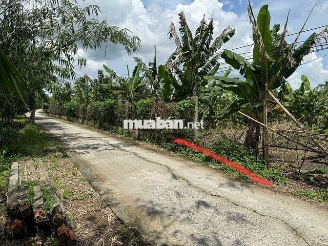 Cần bán nền 365m² rạch Xẻo Da đường nhánh Trương Vĩnh Nguyên