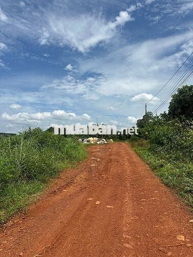 Cần tiền bán gấp 250m thổ cư 100m,bán đúng giá 160tr,giá bán thật lòng