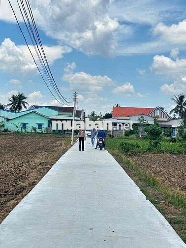 Hàng Hot tại Tân Trụ Long An 186m2 thổ cư có giá chỉ 320 triệu