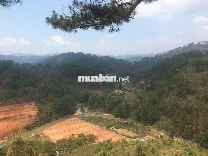 Đất nghỉ dưỡng - 200m mặt tiền suối trong vắt P. Langbiang Lâm Đồng