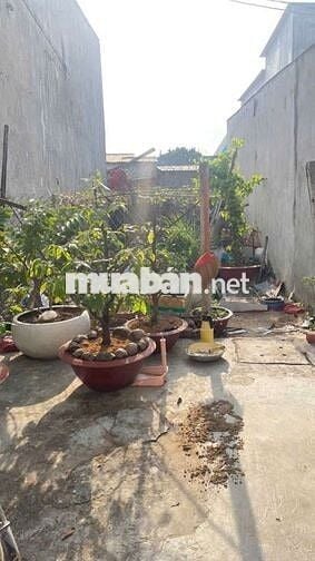 🔥🔥🔥 ĐẤT SỔ HỒNG RIÊNG 63m2 - XÂY DỰNG TỰ DO 🔥🔥🔥