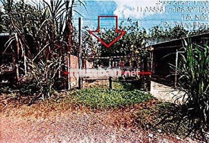 Bán ĐGTS đất tại phường An Tịnh, tỉnh Tây Ninh