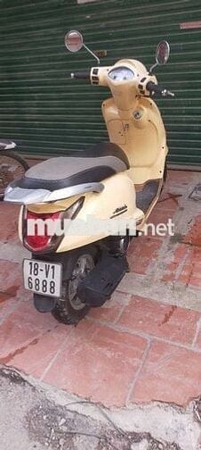 Xe Attila Fi biển vip