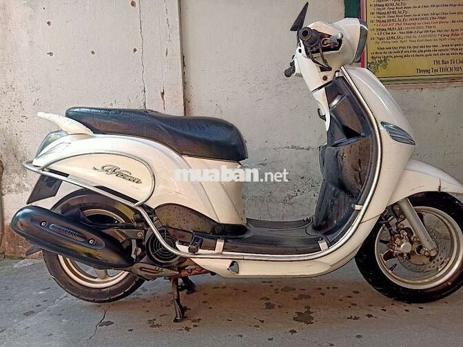 Nozza Fi xe đẹp bs tỉnh