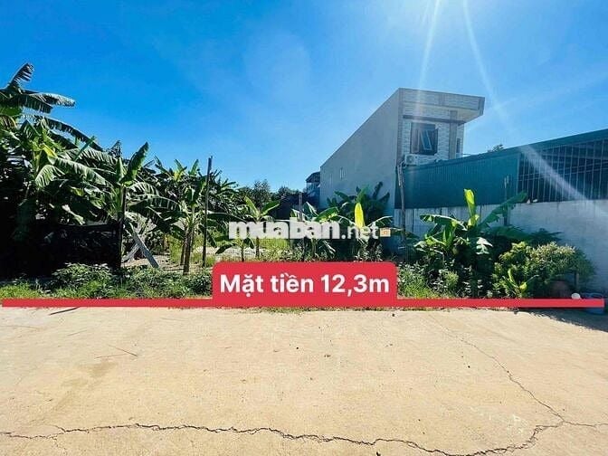 356m có 250m ONT tại Bình Yên, Hoà Lạc.
