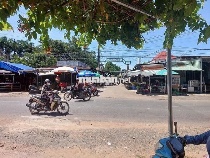 Bán đất sát ngay chợ Minh Thạnh - TP. HCM chỉ 300tr sang tên