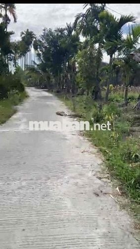 BÉ EM CẦN TIỀN BÁN LÔ GÓC NGHĨA KỲ 160m2 giá 350 triệu t