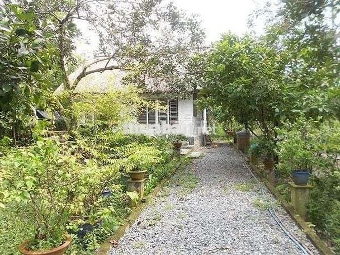 Đất sổ hồng riêng thành phố Đồng Xoài 1000m2 đất vườn