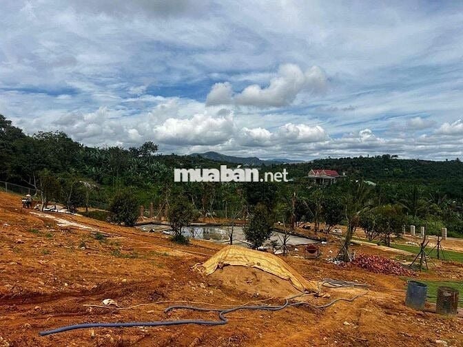 Đất Vườn Bảo Lộc View Đồi – Sổ Sẵn, Giá Cực Tốt!