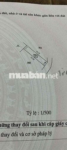 BÁN ĐẤT ĐỒNG MAI HÀ ĐÔNG, 51M2 THUẬN TIỆN BẾN XE YÊN NGHĨA, THANH XUÂN