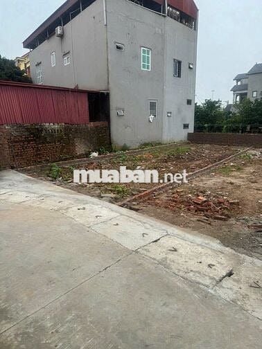 Bán đất thôn Đại Bái, xã Quang Minh, Mê Linh. Gần đường quốc lộ 23,