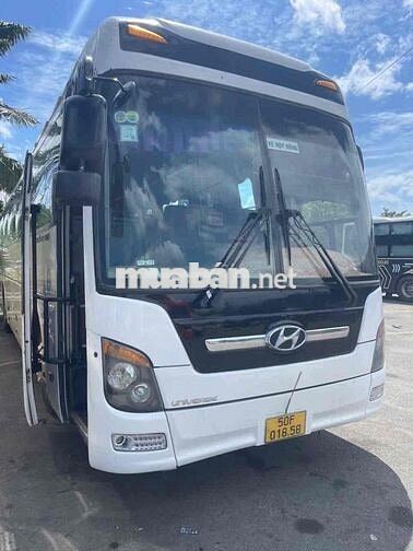 xe khách 47 chỗ Hyundai