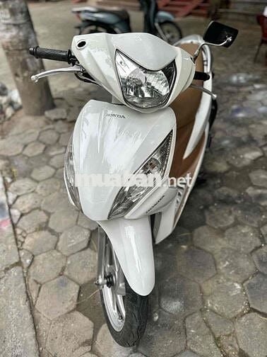 vision 2014 máy zin siêu chất