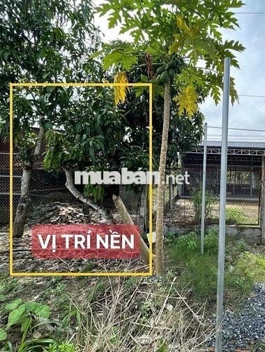 🏠BÁN NỀN MẶT TIỀN 926 ĐOẠN NHƠN ÁI PHONG ĐIỀN CẦN THƠ.