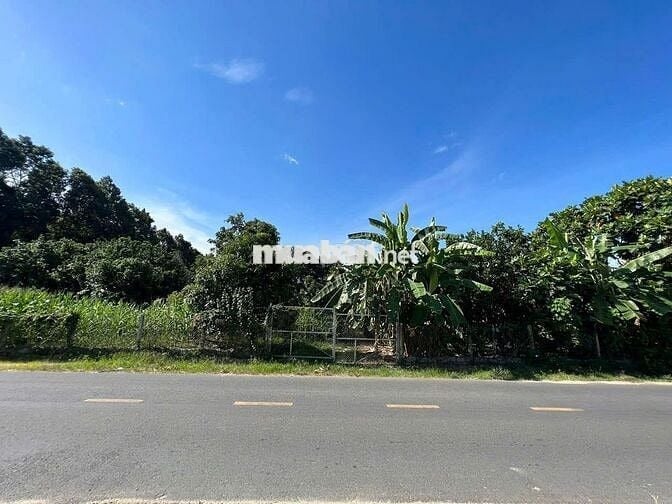MẶT TIỀN TỈNH LỘ 2 - DIÊN THỌ - SP TIỀM NĂNG & ZÁ CỰC TỐT
