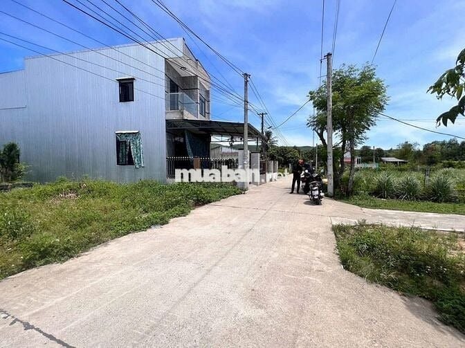 🔥 ĐẤT VEN HÒA KHƯƠNG – TRỤC CHÍNH ĐẠI HIỆP – CHỈ 790TR 🔥 📍
