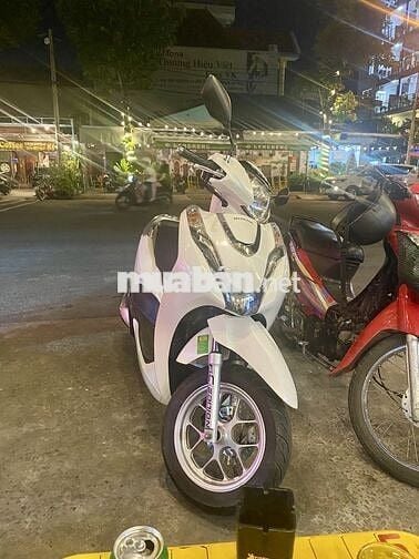 Bán lead 2023 chính chủ biển sài gòn