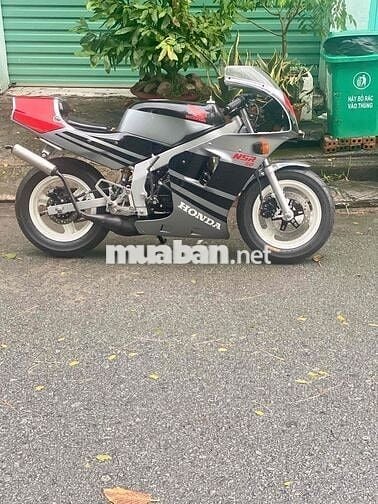 Nsr 50cc Cọp
