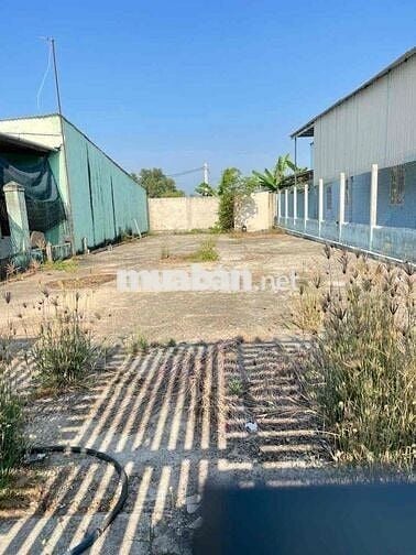 💼 BÁN GẤP LÔ ĐẤT 226,3M² – MẶT TIỀN ĐƯỜNG BASA, PHƯỚC HIỆP – CHÍNH CHỦ
