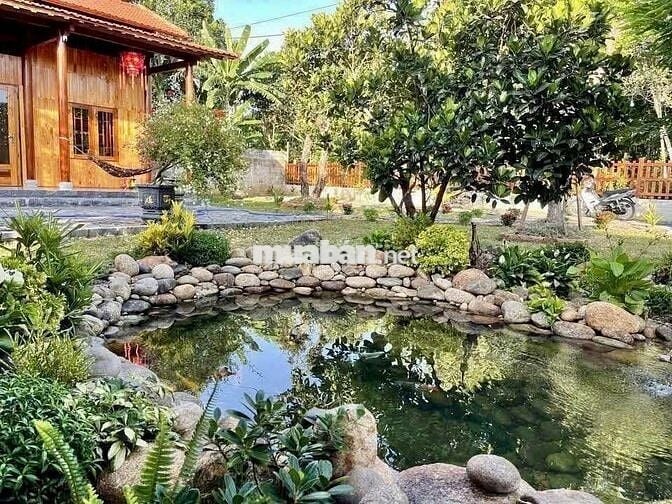 🏡 Chỉ 500 Triệu – Sở Hữu Ngay Căn Nhà Vườn Xinh Xắn Tại Đồng Nai 🌿
