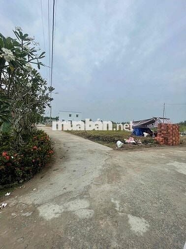 🎯 BÁN 16 LÔ ĐẤT NỀN FULL THỔ CƯ – LONG SƠN, CẦN ĐƯỚC, LONG AN 🎯