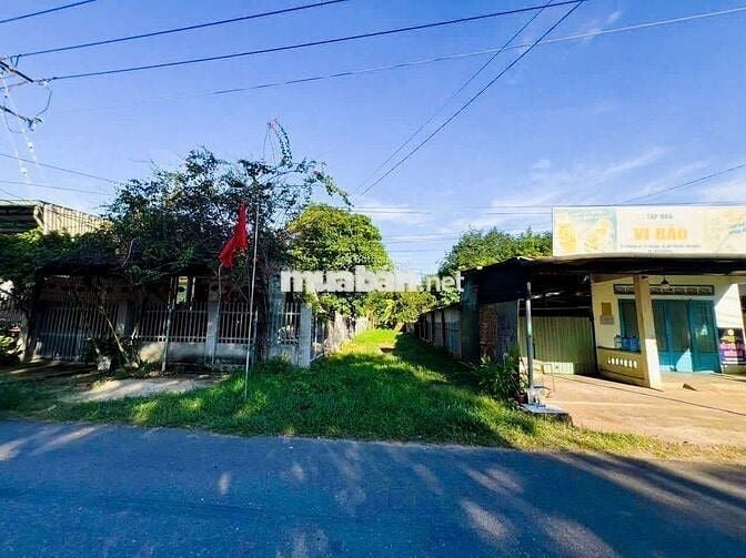 Kẹt  bank cần ra gấp 420m2 đất thổ cư đường nhựa xã An Long, TP.HCM