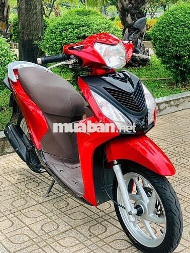 vision biển tp xe đẹp leng keng