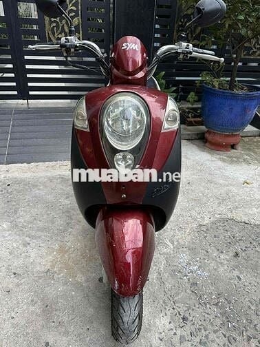 sym elite 50cc bstp ko cần bằng lái