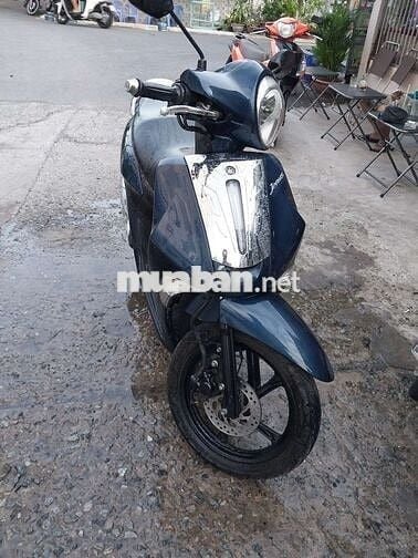 Janus fi bstp chứng giấy