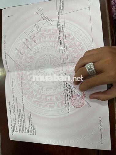 Bán nền đường A3 lộ 27m KDC PHÚ AN kế bên trường Học vị trí Sáng.