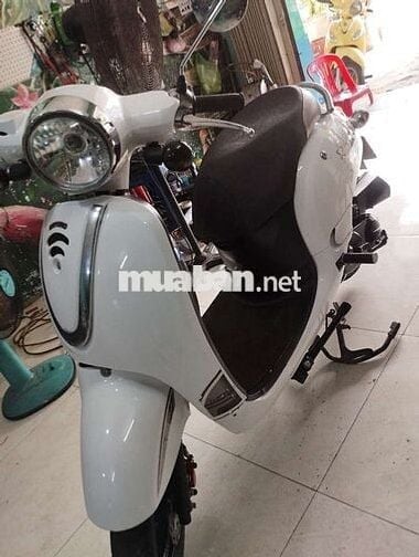 Xe ga 50 dành cho học sinh