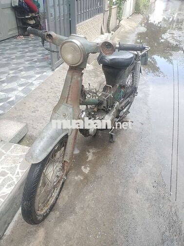 Honda Cub 50cc