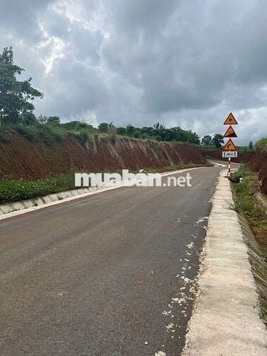 Siêu phẩm đất rộng view đồi thông gần thác DamB'ri - giá cực tốt