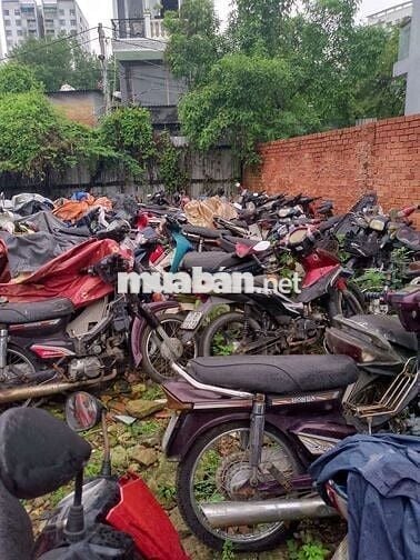Mình chuyên mua xe ga, xe số cũ, hỏng hóc cũng mua