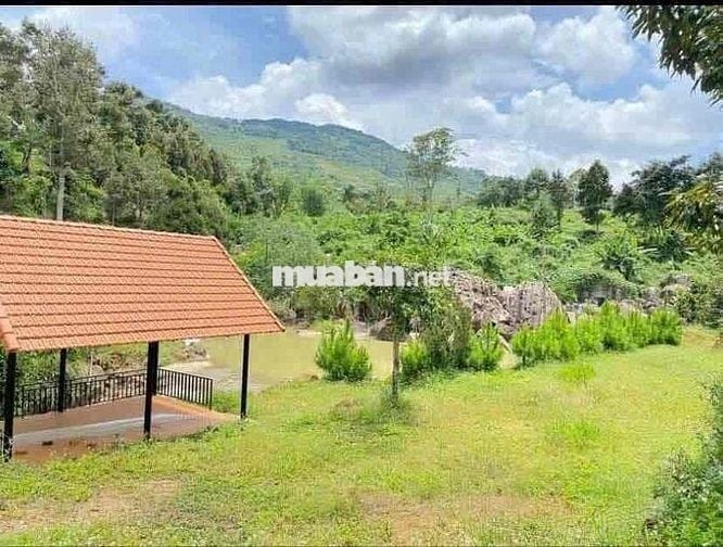 View Suối Đất Nông Nghiệp Cực Đẹp - Thích Hợp Làm Farm😍