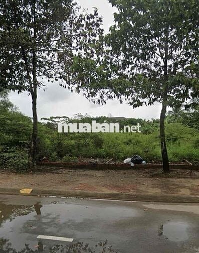 đất mặt tiền 120m2 giá 800tr Đ.Phan Bội Châu, Thủ Dầu Một, Bình Dương