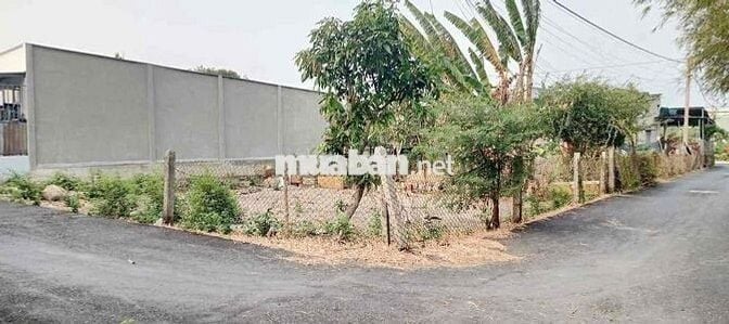 ĐẤT THỔ CƯ 225m2 GIÁ 600 TRIỆU SỔ HỒNG RIÊNG