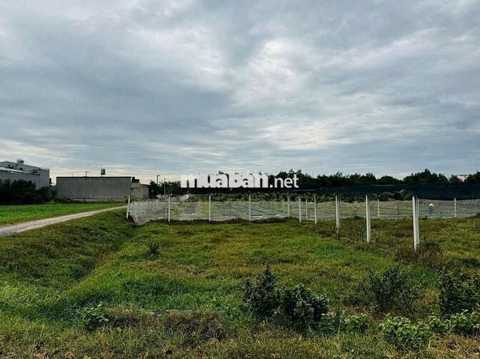 GẤP - em cần bán 220m2 tại Basa Phước Hiệp giá ngộp chỉ 520Tr
