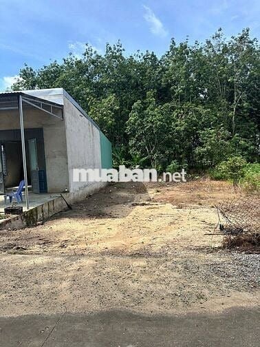 đất gần trường gần chợ dân đông