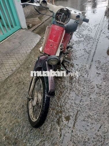 Honda Cub 70cc