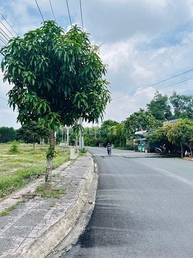 ĐẤT THỔ CƯ 100% – SỔ HỒNG RIÊNG – CÁCH SÂN BAY LONG THÀNH 5KM