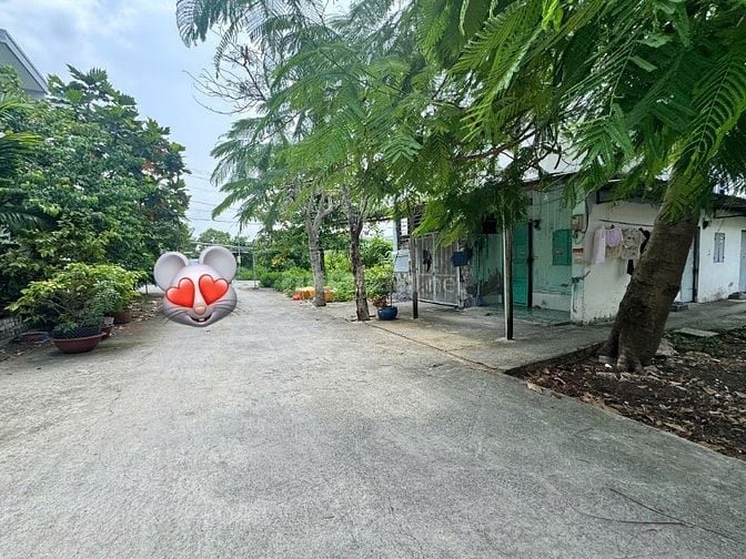 Giá Rẽ Bán Nhanh nhà 3 tầng 8x20m full thổ cư, 10 phòng đang cho thuê
