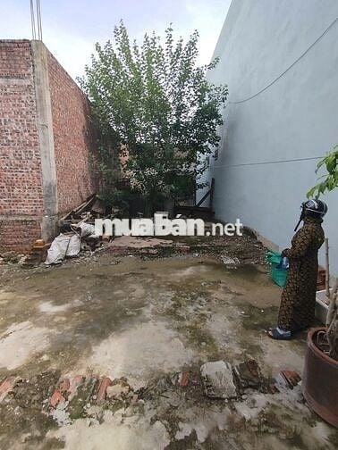Đất sổ đỏ 73.7m2 thôn bấc 1, Thủy Đường, Thủy Nguyên