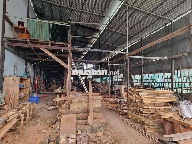 ĐẤT MẶT TIỀN DT 824 , ĐIỆN 3Pha, XE CONTAINER , ĐƯỜNG BÊ TÔNG 500M2