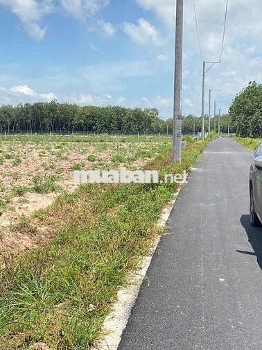 chỉ 200Tr sở hữu ngay miếng 200m2 Giá Ngộp tại dầu Tiếng Tp.Hcm