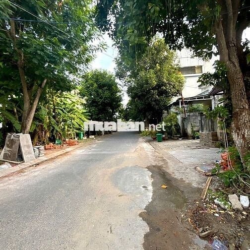 CẦN BÁN GẤP ĐẤT ĐƯỜNG PHÙ ĐỔNG ,HOÀ XUÂN ĐÀ NẴNG